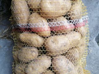Hola, vendo patatas comestibles de las variedades Bellarosa, Red