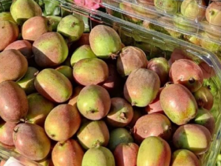 Mini kiwis Weiki a la venta