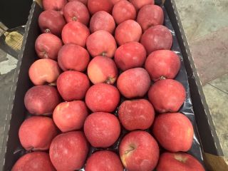 Red Delicious calibre 70+, envase de cartón para toda