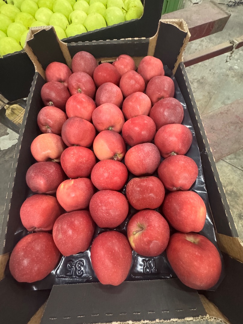 Red Delicious calibre 70+, envase de cartón para toda Europa