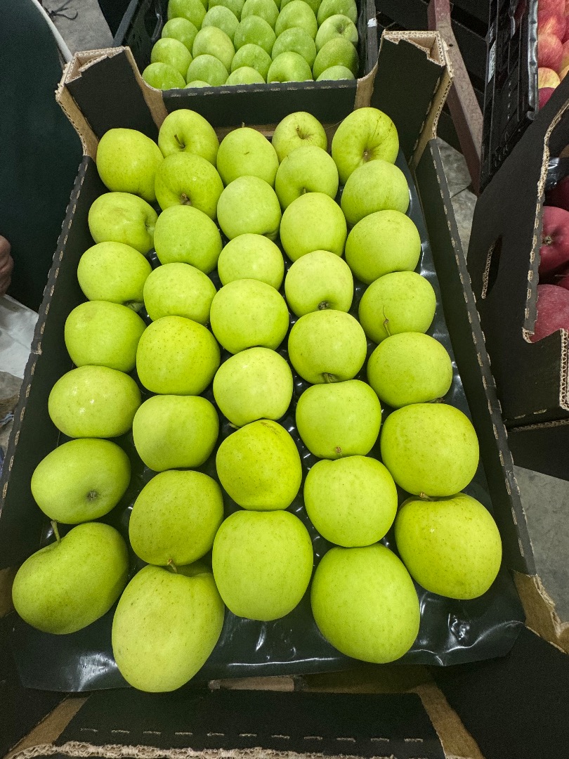 Exportación a toda Europa, excelente calidad