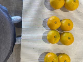 Mandarinas croatas Dolina Neretve