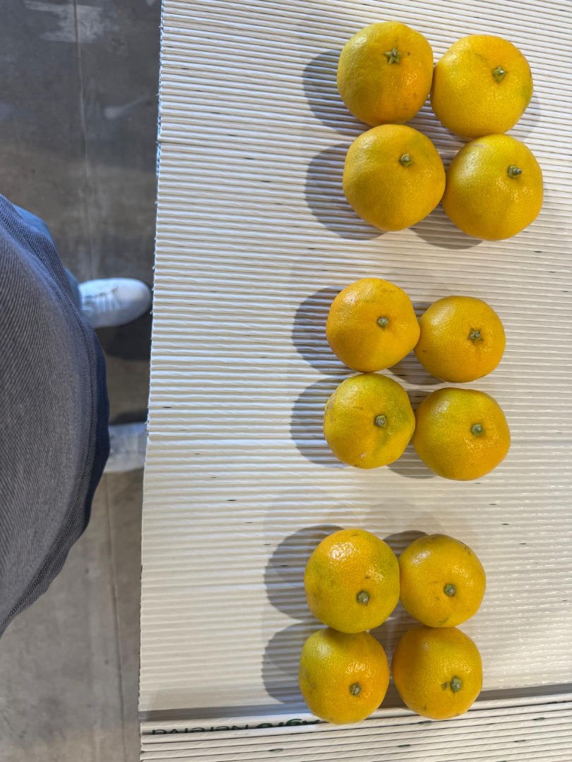 Mandarinas croatas Dolina Neretve