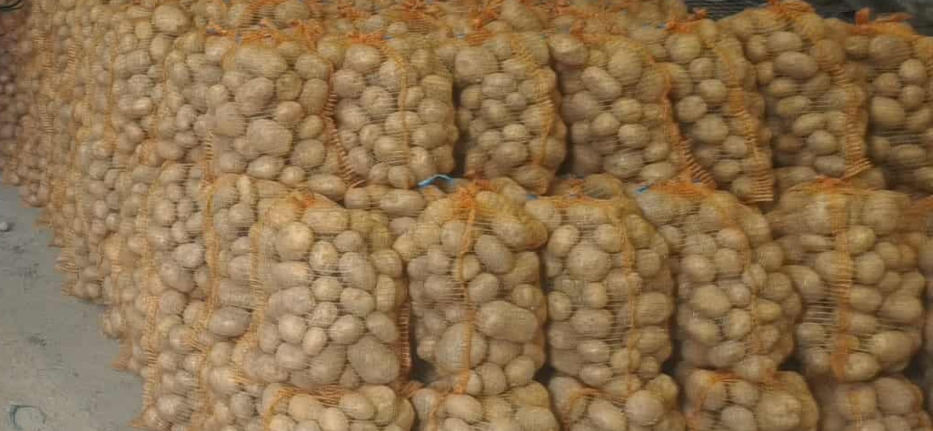 Hola, vendo patatas Colomba grandes (más de 5,5 cm)
