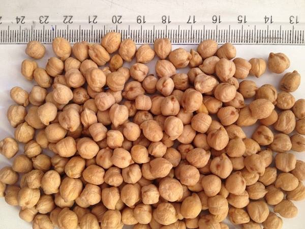 Garbanzo, producido en Hungría