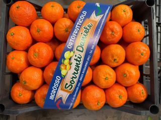 DMD Fruit Srl es una empresa familiar con sede