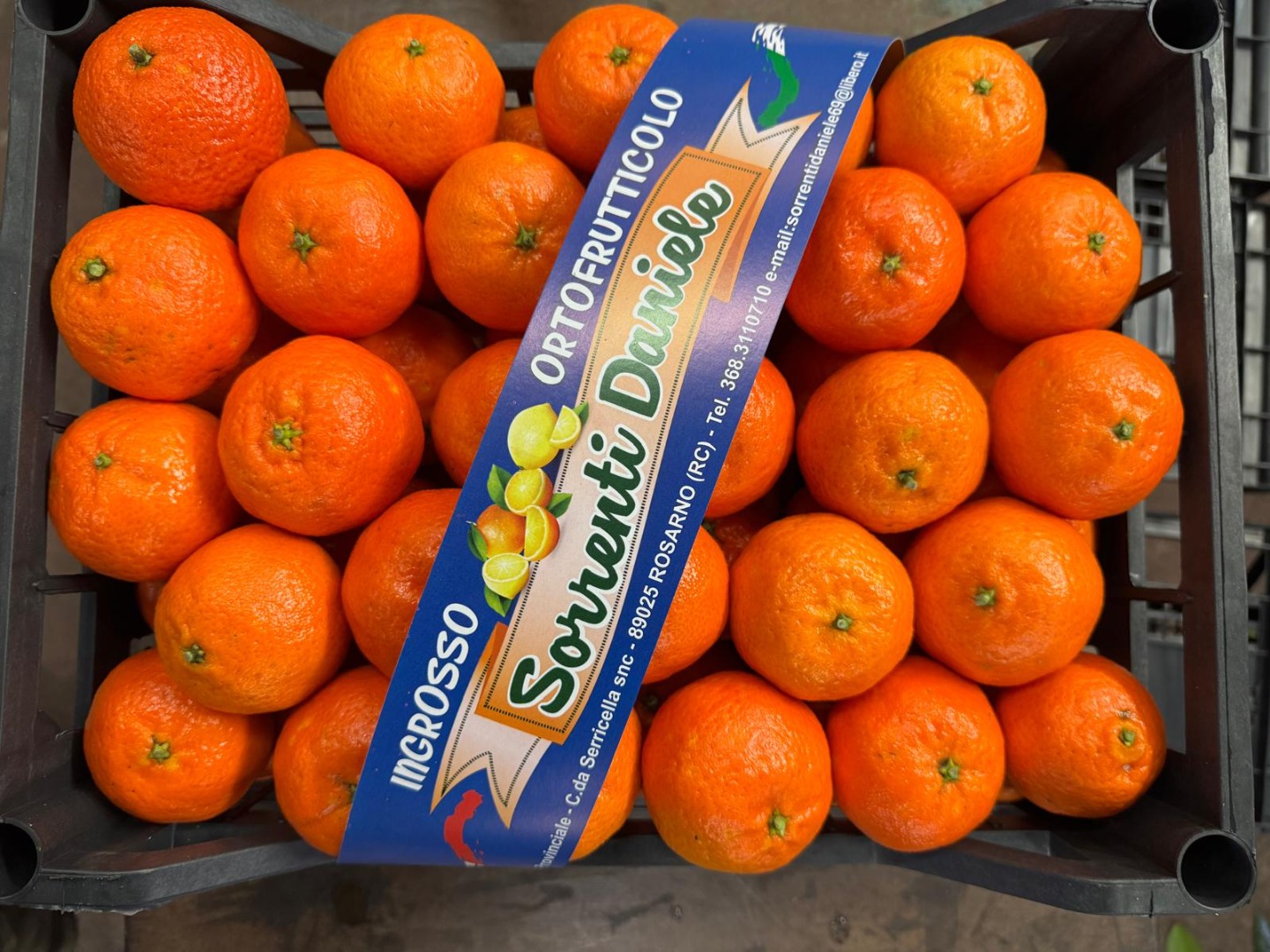 DMD Fruit Srl es una empresa familiar con sede en Rosarno (Calabria), especializada en la producción y venta al por mayor de clementinas y naranjas desde hace