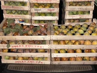 Producción de caquis dulces y blandos orgánicos