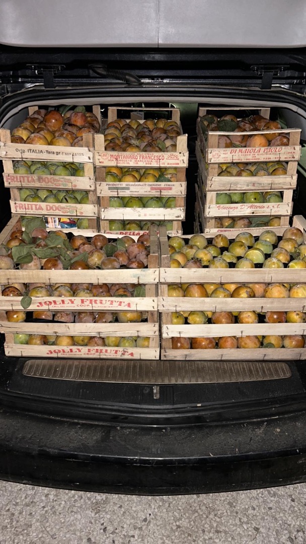 Producción de caquis dulces y blandos orgánicos