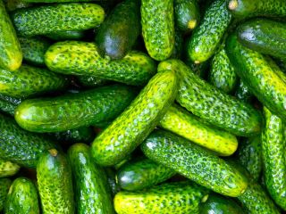 Necesitamos pepinillos (3-6cm) 20 toneladas o más, para exportar