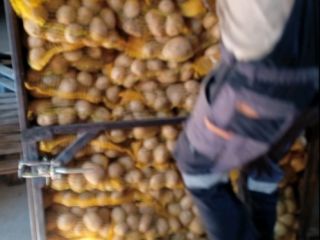 Papas amarillas a la venta en lotes pequeños y