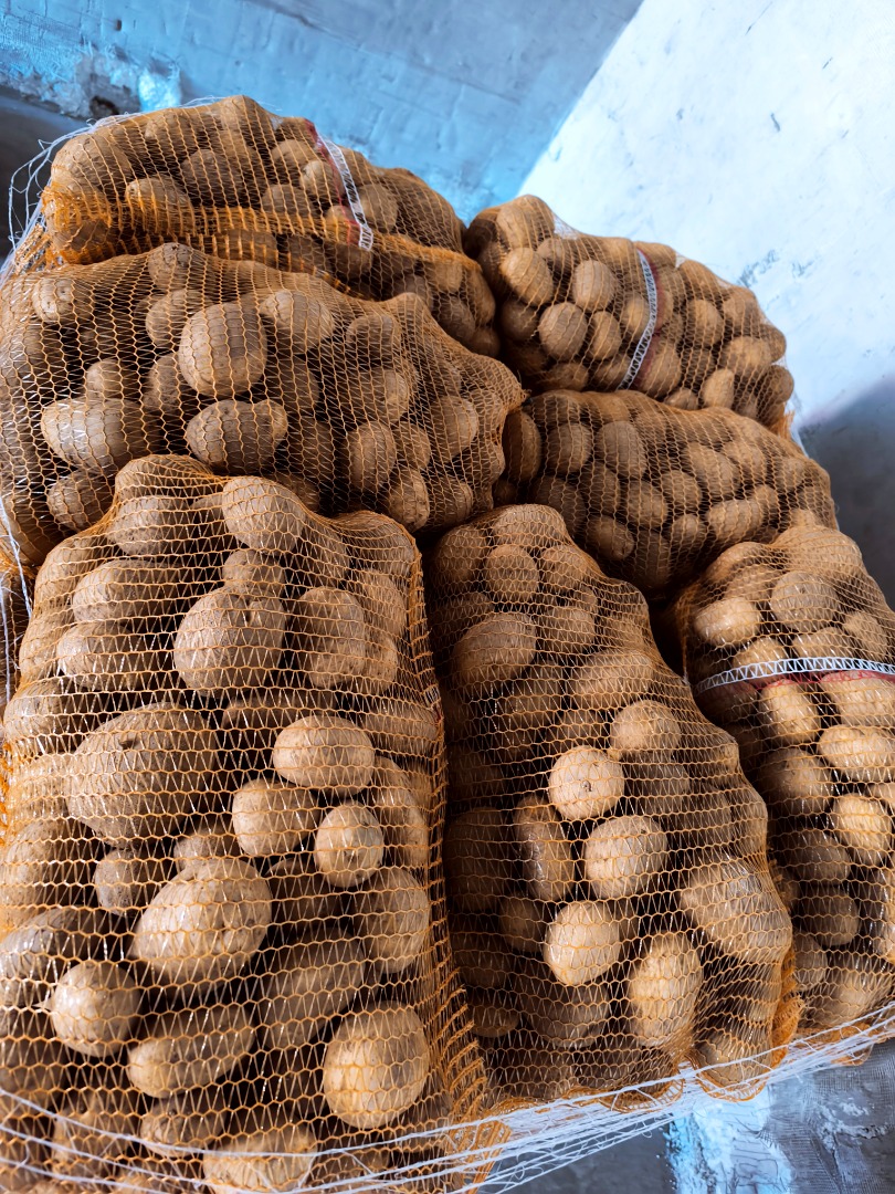 Venta al por mayor de patatas de alta calidad para exportación y mercado nacional