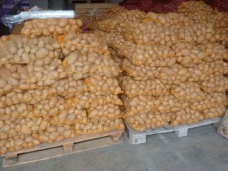 Vendo papas de la cosecha de este año. Sabrosas,