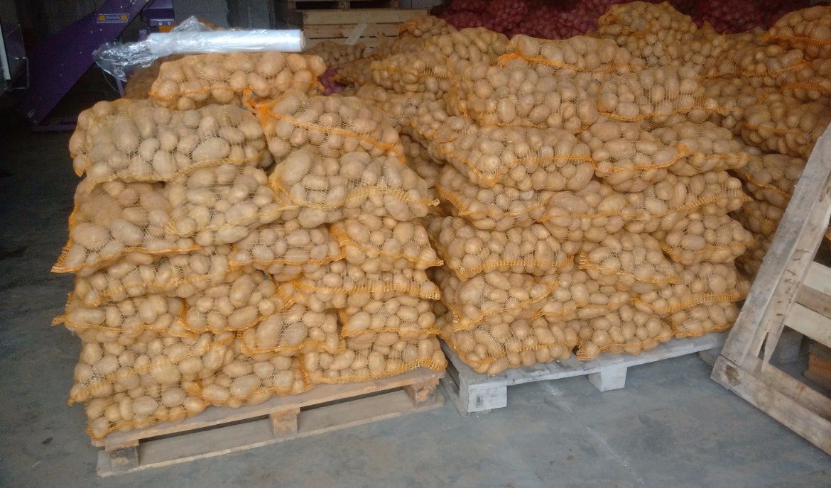 Vendo papas de la cosecha de este año