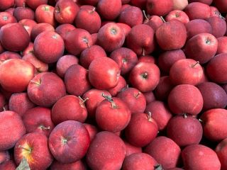 Somos proveedores de confianza de frutas y verduras frescas