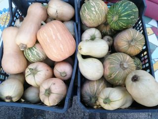 Calabazas de Halloween para decorar