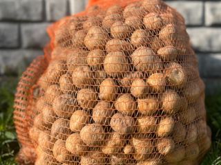 Papas Bryza: ¡directamente del agricultor! Tenemos papas comestibles frescas
