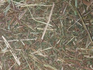 Tengo de 2 a 3 toneladas de ulmaria a