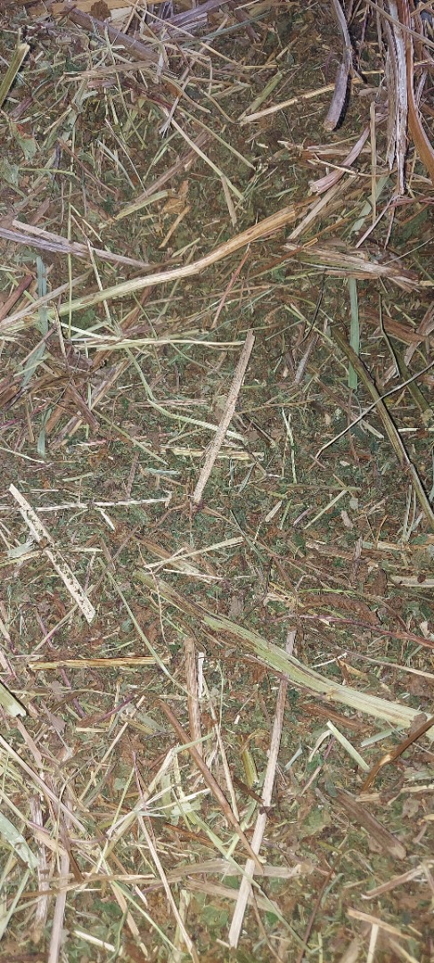 Tengo de 2 a 3 toneladas de ulmaria a la venta