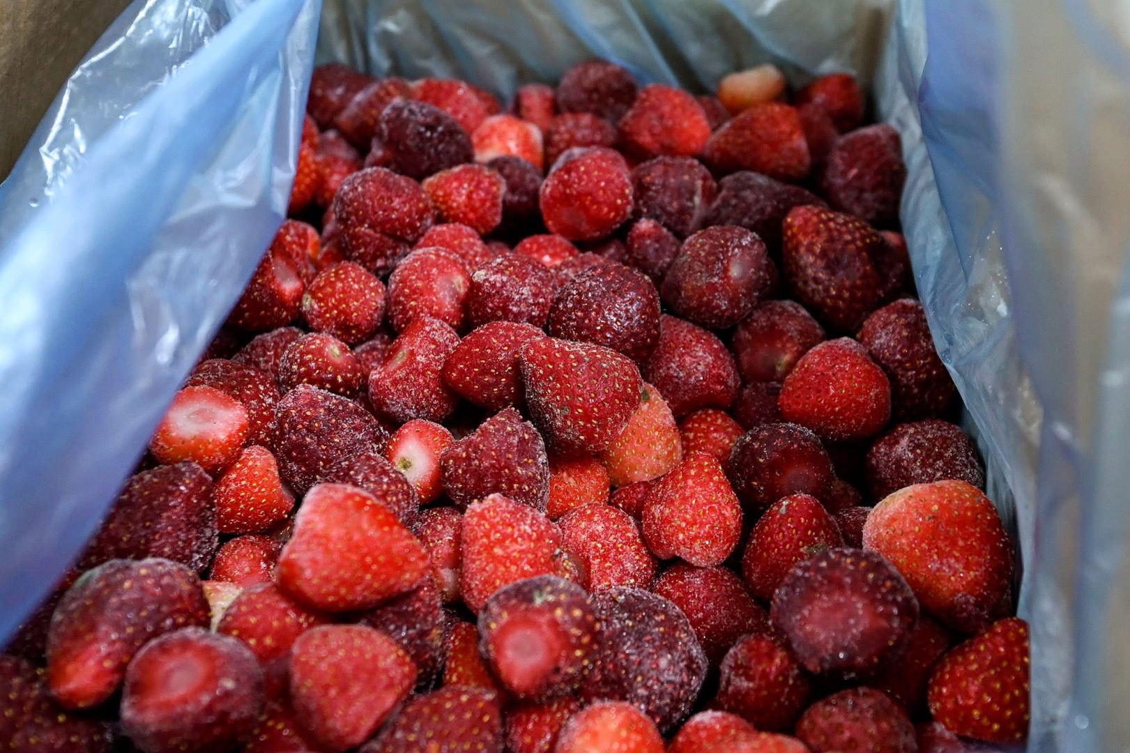 Somos una empresa dedicada a la recolección, procesamiento y venta de frutas silvestres y cultivadas, setas y hierbas aromáticas medicinales