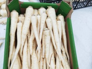 Vendo perejil para productos frescos. No se oxida.
