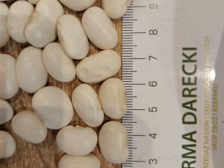 Alubias blancas 106/100 g, cosecha 2025, envasado en big