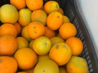 Naranja País de origen Grecia Variedad Valencia Dulce Disponible