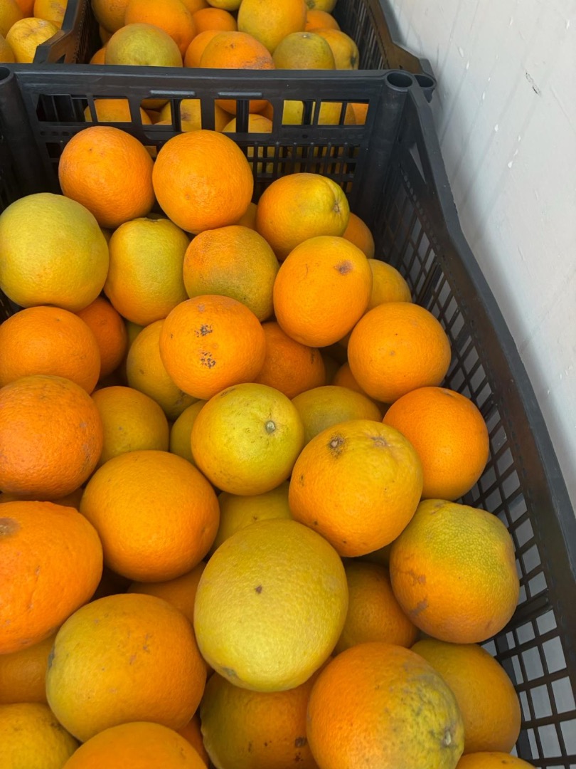 Naranja País de origen Grecia Variedad Valencia Dulce Disponible 13 toneladas Transporte a toda Polonia