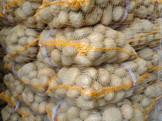 Tengo más de 50 papas a la venta: variedades