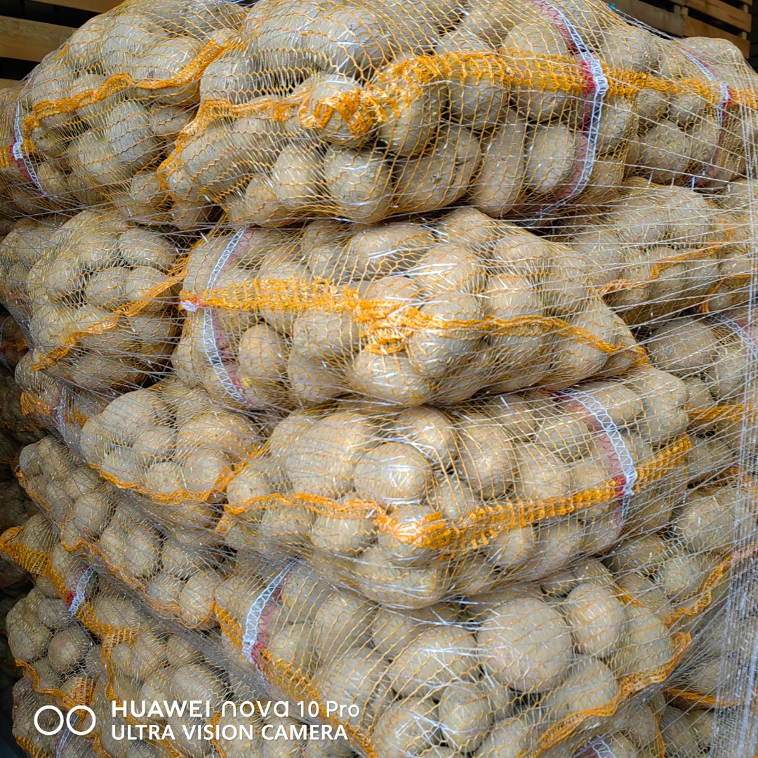 Tengo más de 50 papas a la venta: variedades Queen Anna, Soraya, Corrina y Jurek