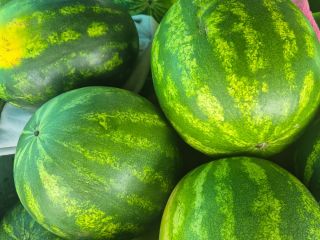 Vendo sandía de 3 kg. Directamente de mi campo,