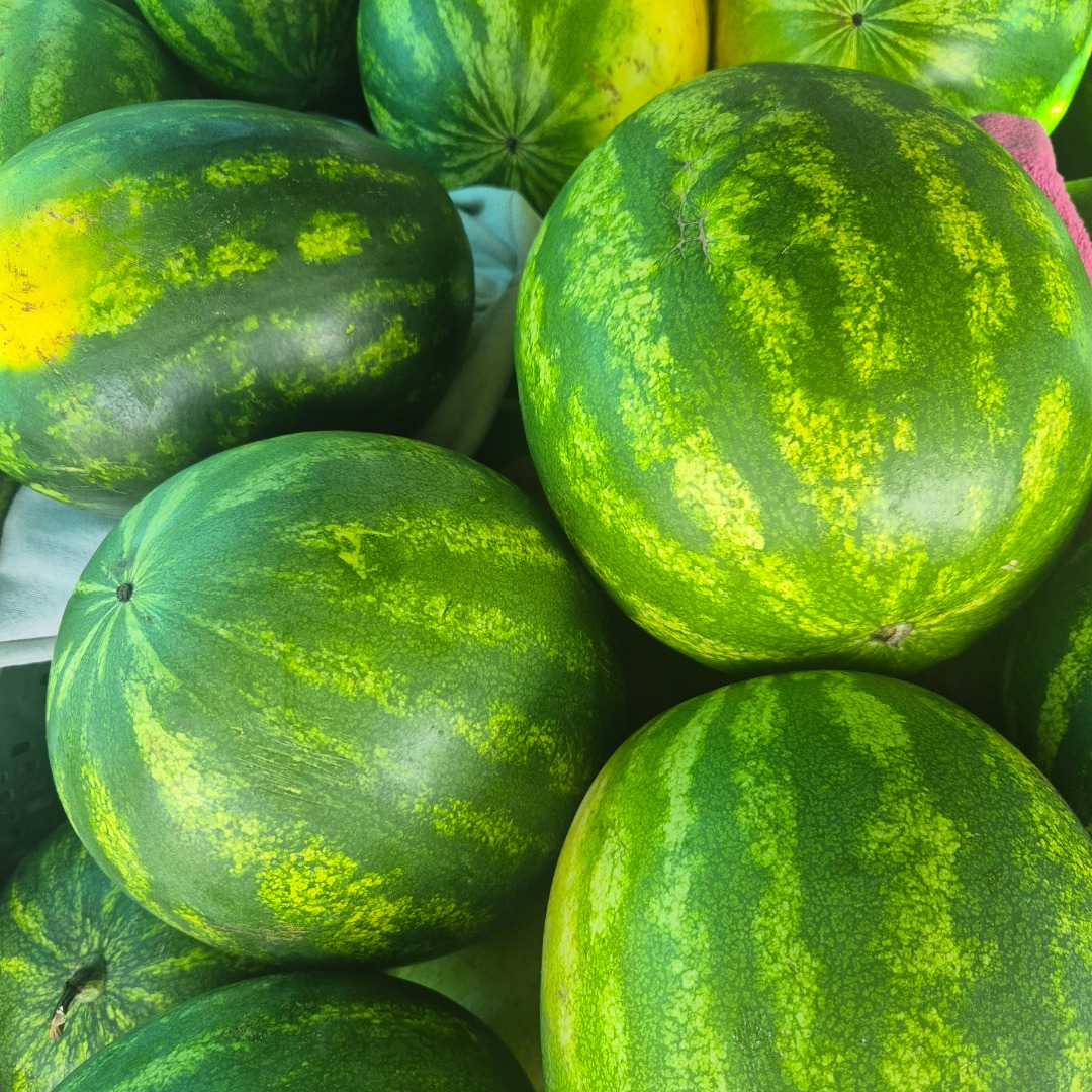 Vendo sandía de 3 kg
