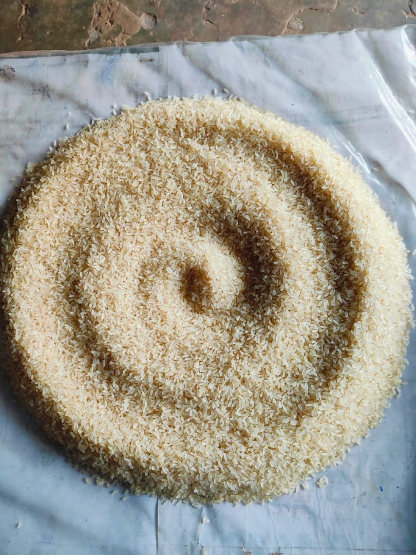 Arroz no basmati, amarillo, Ir 64, envase BOPP de 10 kg