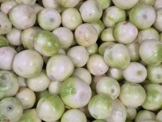 Vendo cebollas blancas peladas. Son sanas, gruesas, de 5