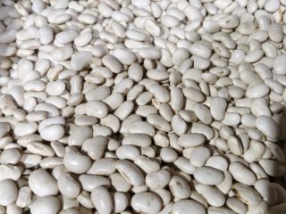 Estimado/a señor/a, ofrecemos diversos tipos de frijoles. Si le