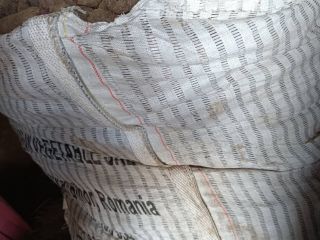 Vendo remolacha larga de la variedad Alto +[teléfono]