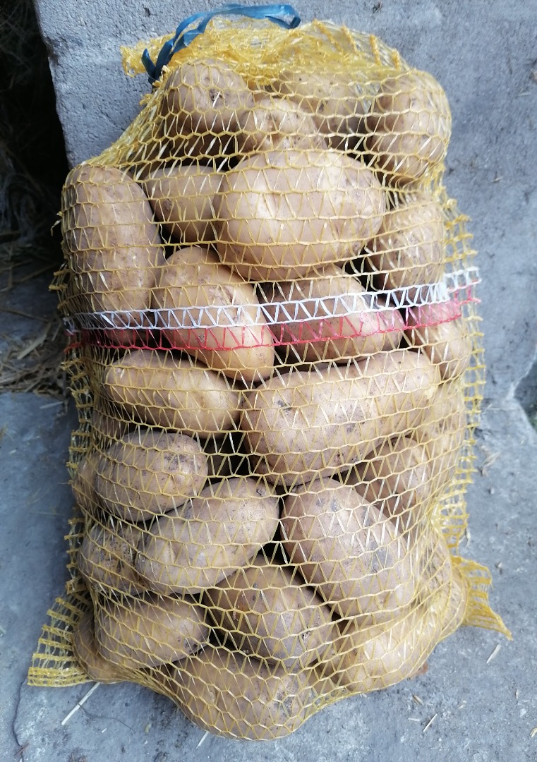 Hola, vendo patatas comestibles de las variedades Bellarosa, Red Sonia, Jurek, Soraya, Marbel, Constans, Typhoon y Anuschka, precio 90 céntimos el kg