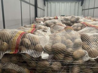 Papas alemanas premium: venta al por mayor en toda