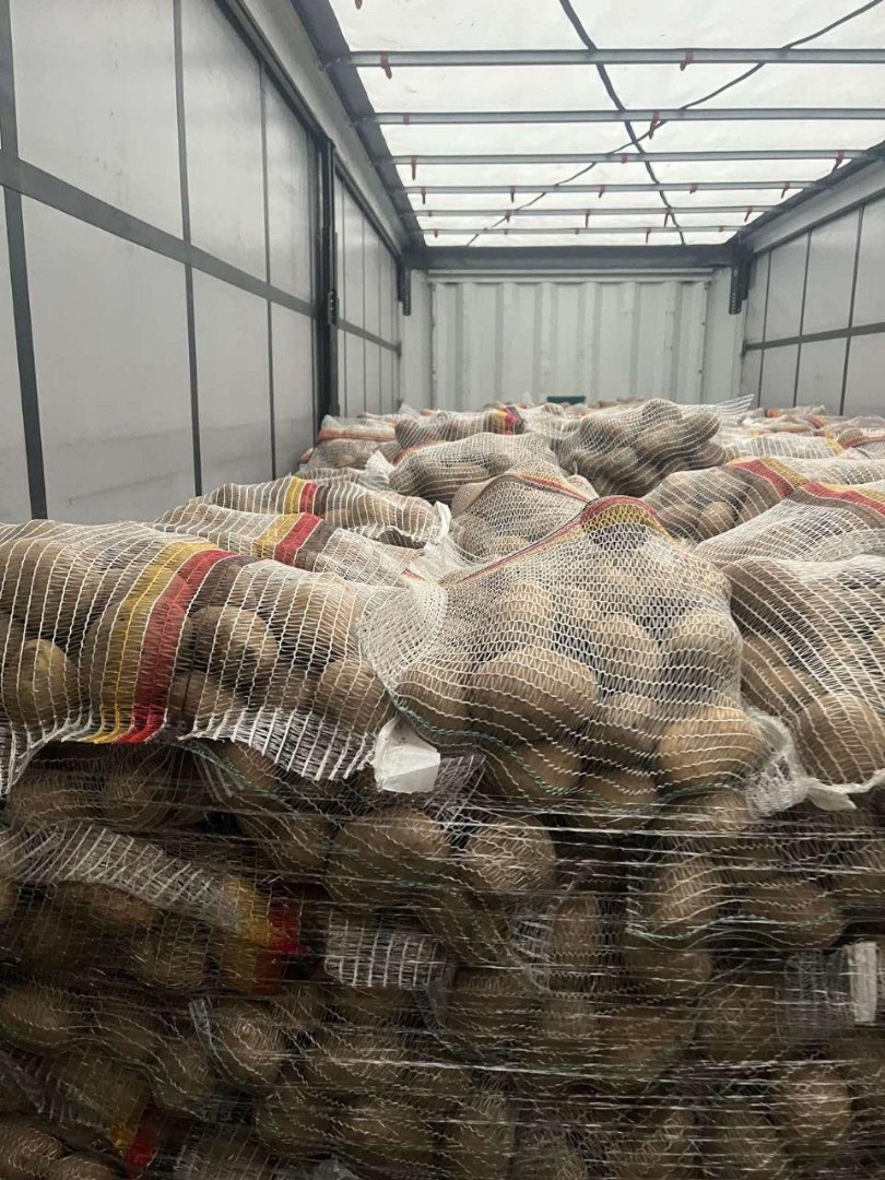 Papas alemanas premium: venta al por mayor en toda Europa