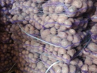 Hola. Vendo papas amarillas y rojas. Cantidades para camiones