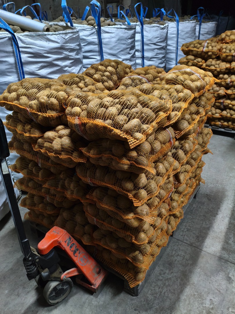 Jurek y Vineta envasados en 15kg, se pueden fabricar en palets o en big bags, posible transporte