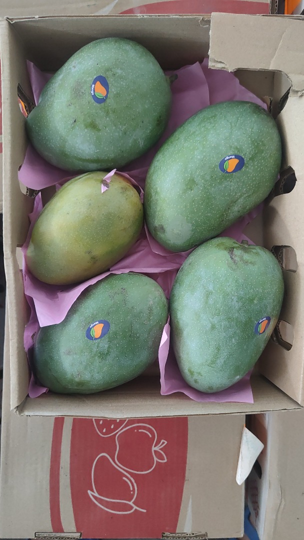Mango fresco, maduro en el árbol, listo para consumir, importado de Egipto a Rumanía por vía aérea
