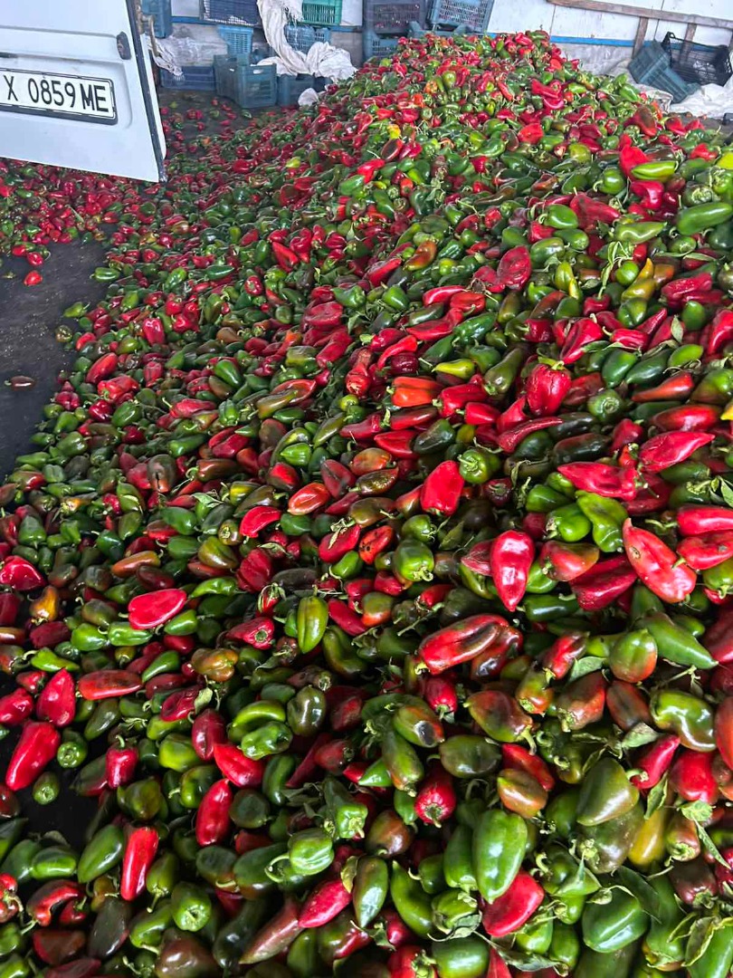 Pimientos rojos y verdes, de segunda calidad 0,80 st/kg