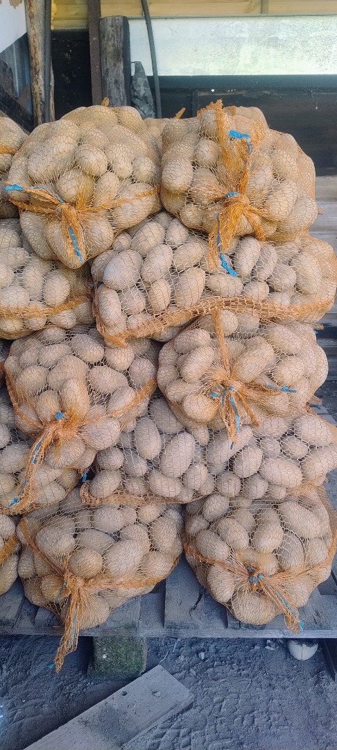 Vendo patatas de mi propia finca