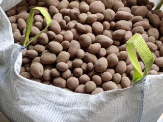 Hola. Tengo a la venta patatas comestibles Soraya y