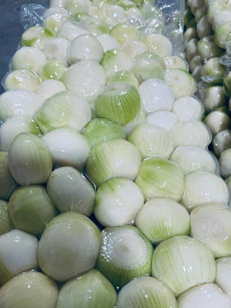 Somos Biała Cebula PL, un proveedor de confianza de verduras de alta calidad en Polonia
