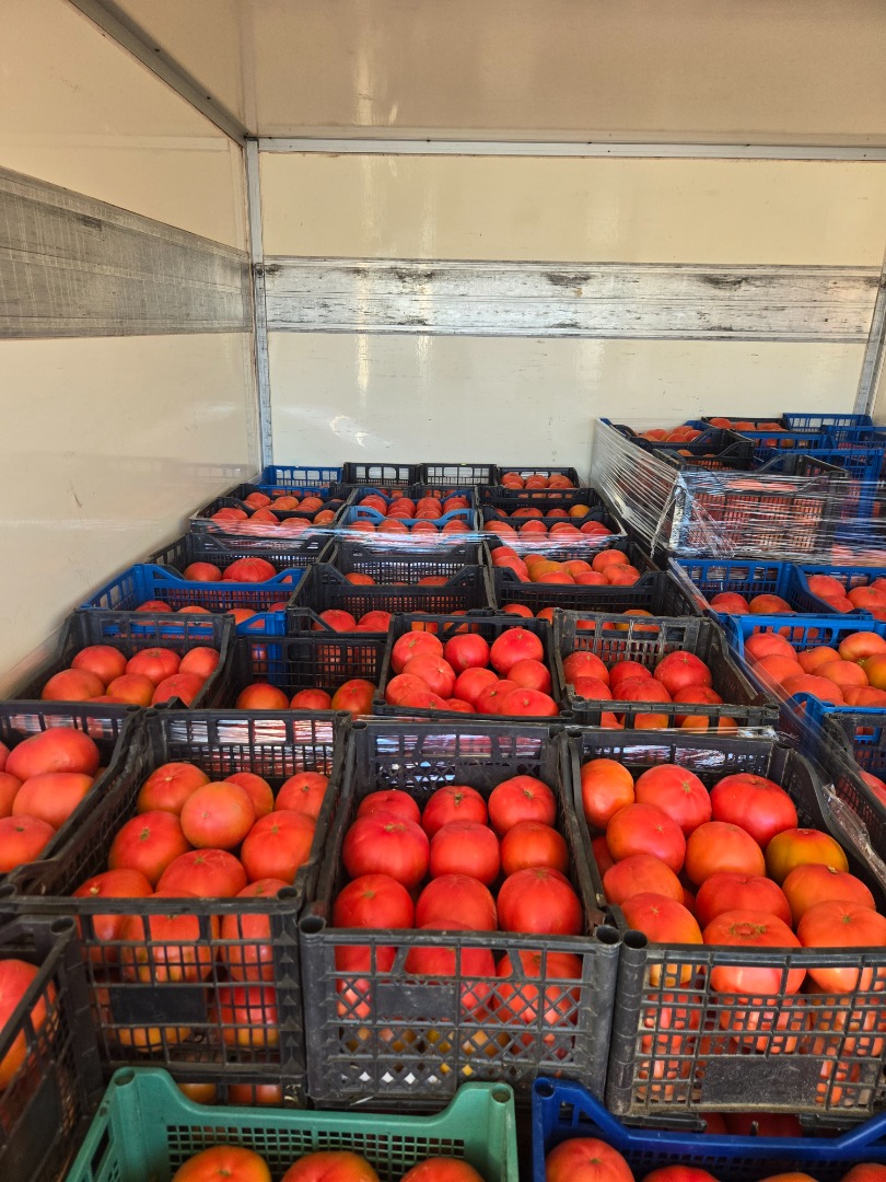 Vendo tomates rosados de calidad superior