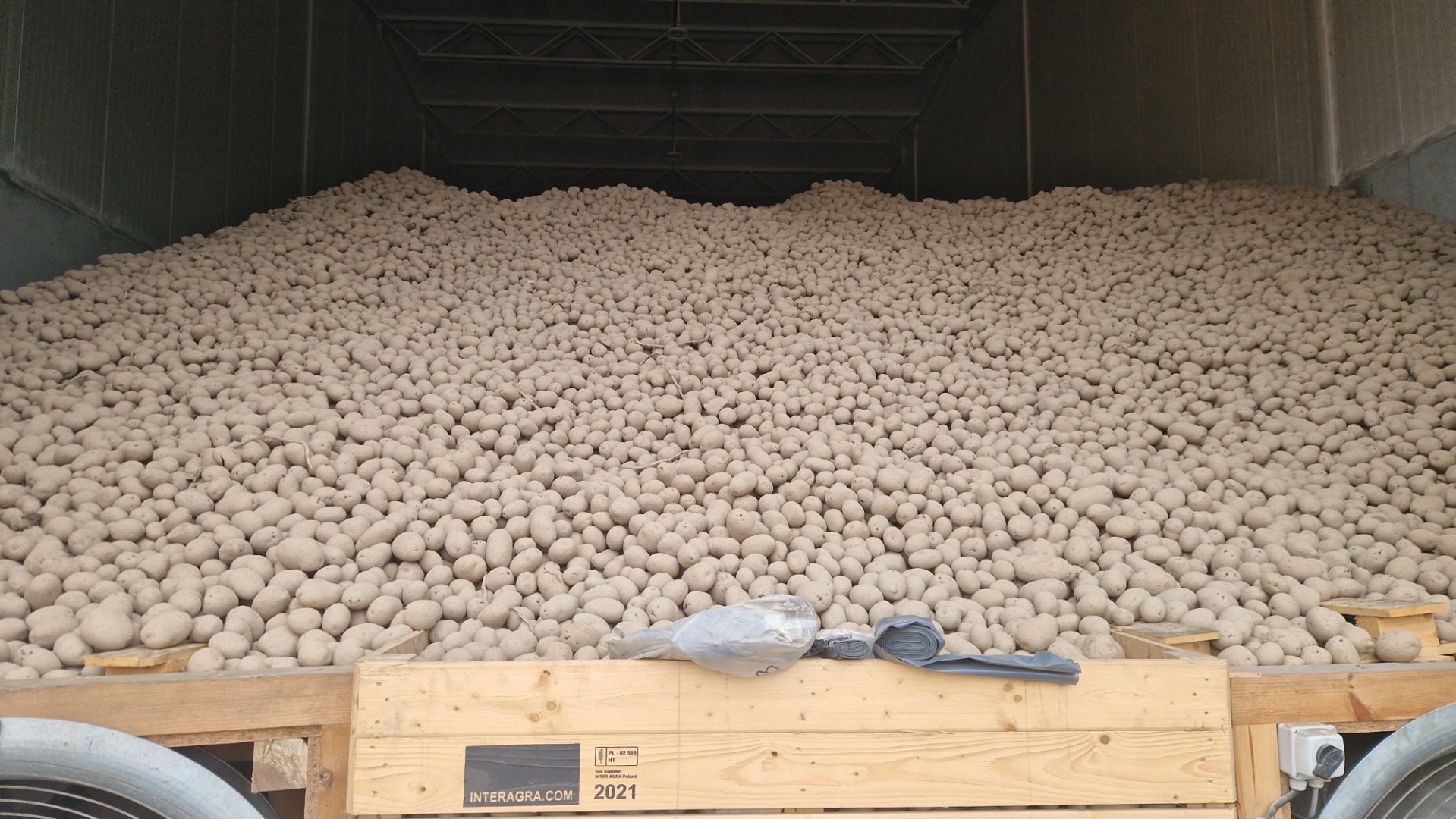 Patatas de suelo ligero, posibilidad de selección de menor calibre, envío preferido LUZ