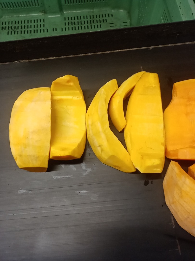 Venderé calabaza pelada Bambino y Otylia número de teléfono [teléfono]
