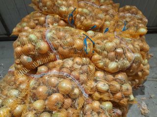 Tengo entre 50 y 60 toneladas de cebollas amarillas.
